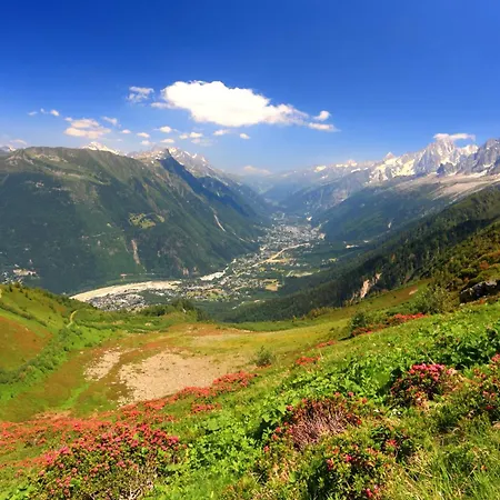 Panorama Mont-blanc 2br W/views, Walk To Flegere Lift - Happy *