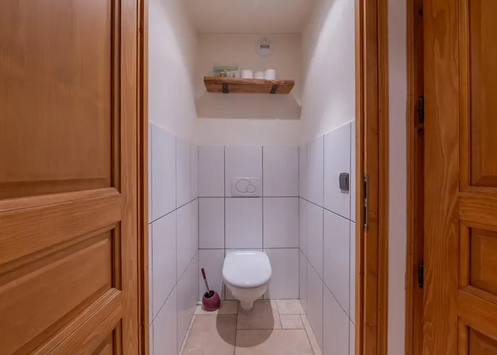 Panorama Mont-blanc - Happy * שאמוני