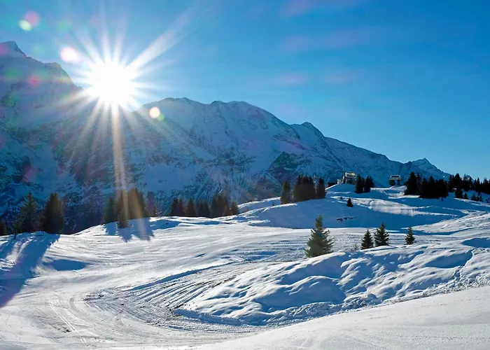 Panorama Mont-blanc - Happy *